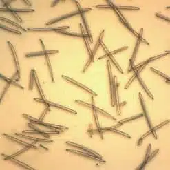 MediLift инені көтеру парағы маскасы