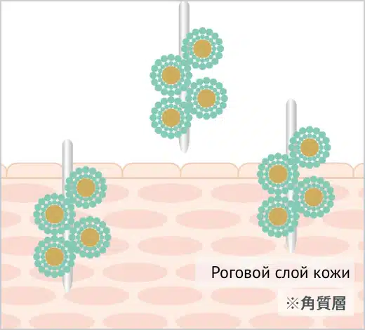 салони