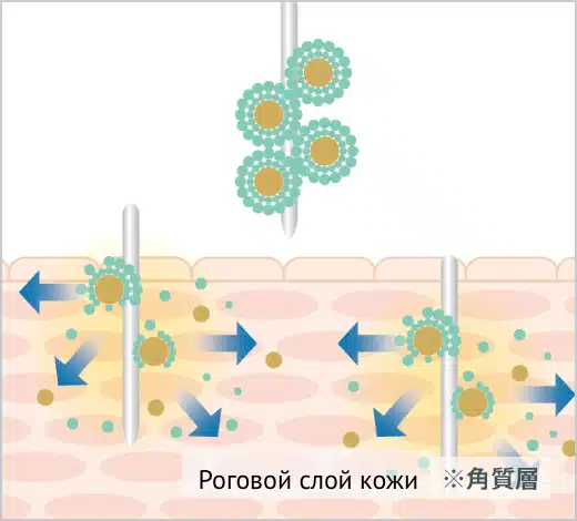 салони