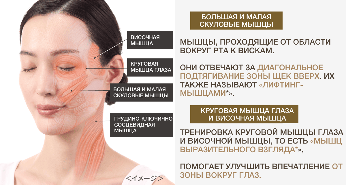 Photo PLUS Deep Lift көп функциялы премиум бет күтімі аппараты - кескін 22