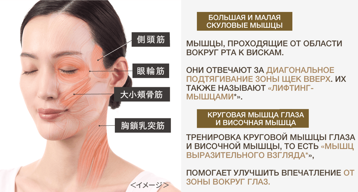Photo PLUS Deep Lift көп функциялы премиум бет күтімі аппараты - кескін 21